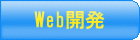 Webシステムの開発 Webシステムの開発